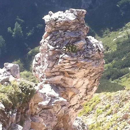 Helga * 슈라드밍